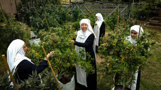 Hermanas del Valle: las monjas falsas que facturan millones al año vendiendo marihuana por correo<em></em>